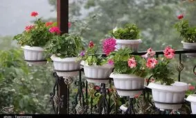 طبیعت روستای میلاش اشکورات+ تصاویر