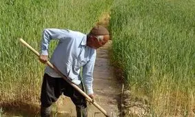چرا کسی از کشاورزان حمایت نمیکند؟