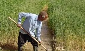چرا کسی از کشاورزان حمایت نمیکند؟