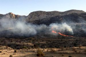 آتش‌سوزی بیش از ۱۲۰ هکتار از مراتع اطراف قزوین؛ احتمال عمدی بودن حادثه