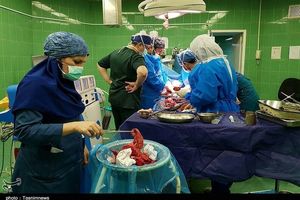 خروج غده ۵ کیلویی از شکم زن ۳۰ ساله در بیمارستان امام اهواز + تصاویر