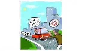 داستان کوتاه طنز فحش دادن به راننده