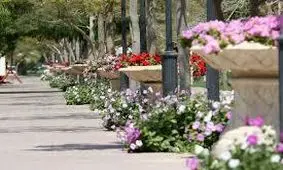 کاهش ۳۰ درصدی آبرسانی و آبیاری فضای سبز با تانکر در کیش