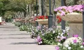 کاهش ۳۰ درصدی آبرسانی و آبیاری فضای سبز با تانکر در کیش