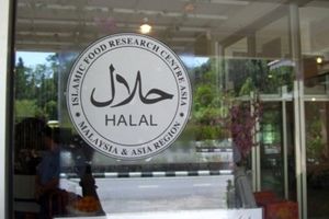 «حلالِ» سازمان بین المللی «سیتی وان» حلال نیست