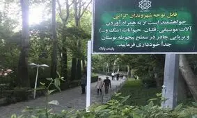 عکسی ناراحت‌کننده که سازنده سرود ملی ایران به وزیر هم نشان داد