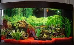 ایده های خلاقانه و جالب آکواریوم