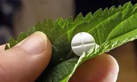 واردات داروهای گیاهی ممنوع است