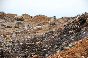 تنها 10 درصد مراکز دفن زباله شهری آذربایجان‌شرقی با مجوزهای زیست‌محیطی است