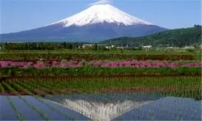 زمین‌لرزه ۳.۲ریشتری آب‌سرد در تهران را لرزاند