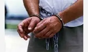 دستبند پلیس بر دستان عامل مزاحمت‌های سریالی سایبری