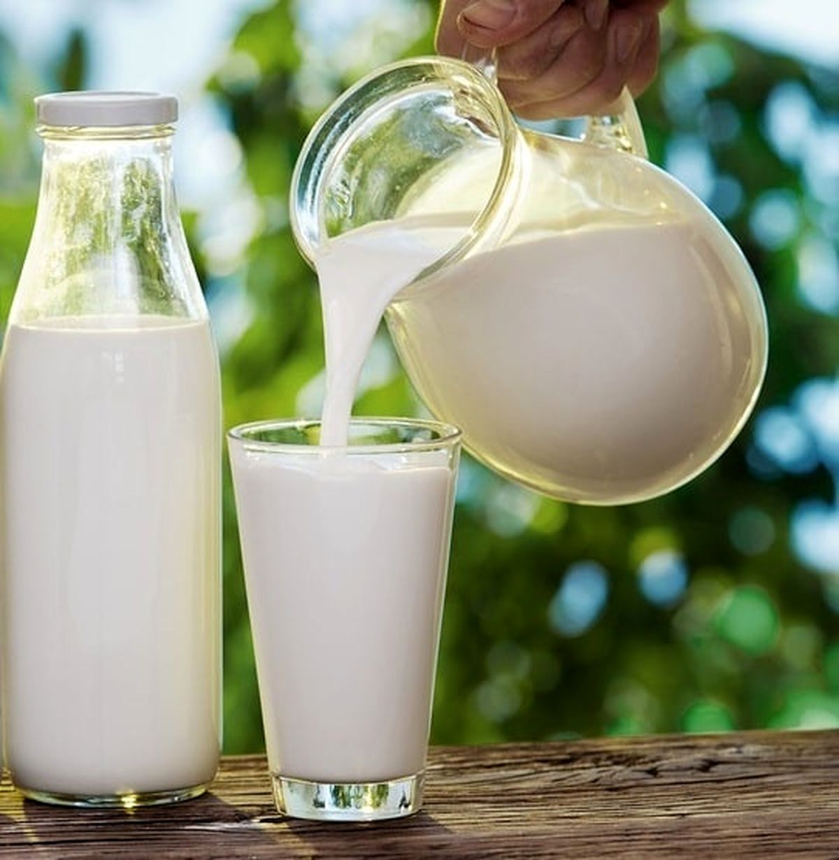 نرخ خرید حمایتی شیرخام افزایش مییابد