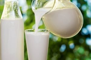 نرخ خرید حمایتی شیرخام افزایش می‌یابد