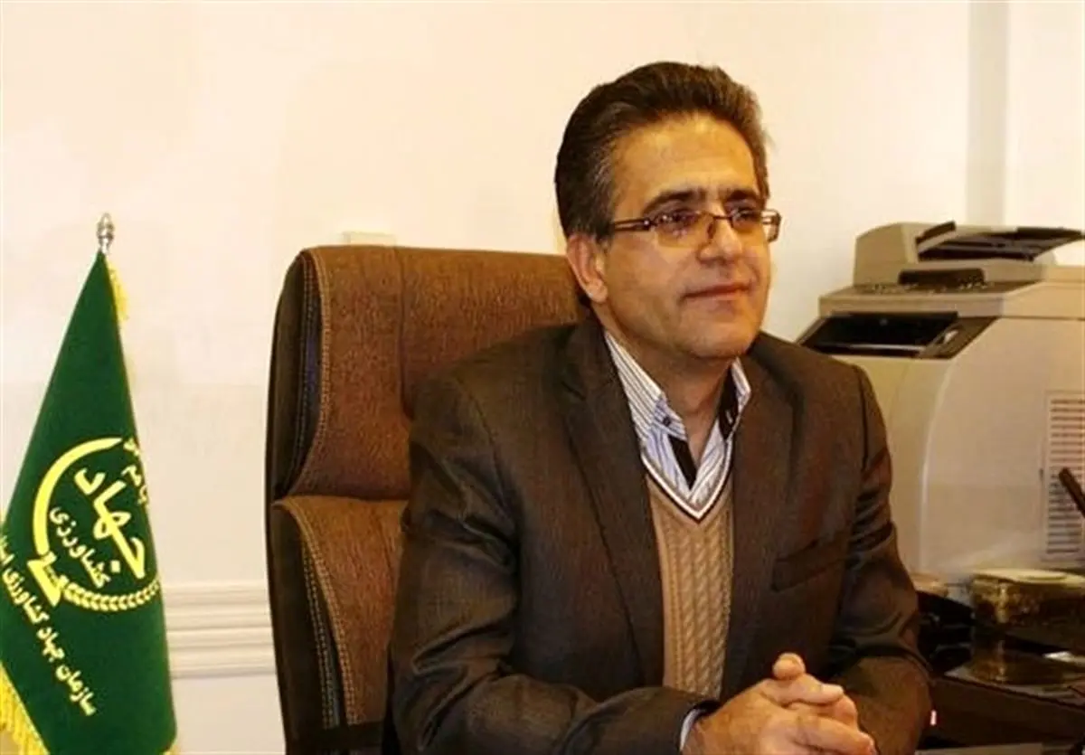 گرانی ارز تولید و صادرات محصولات کشاورزی را به صرفه کرد