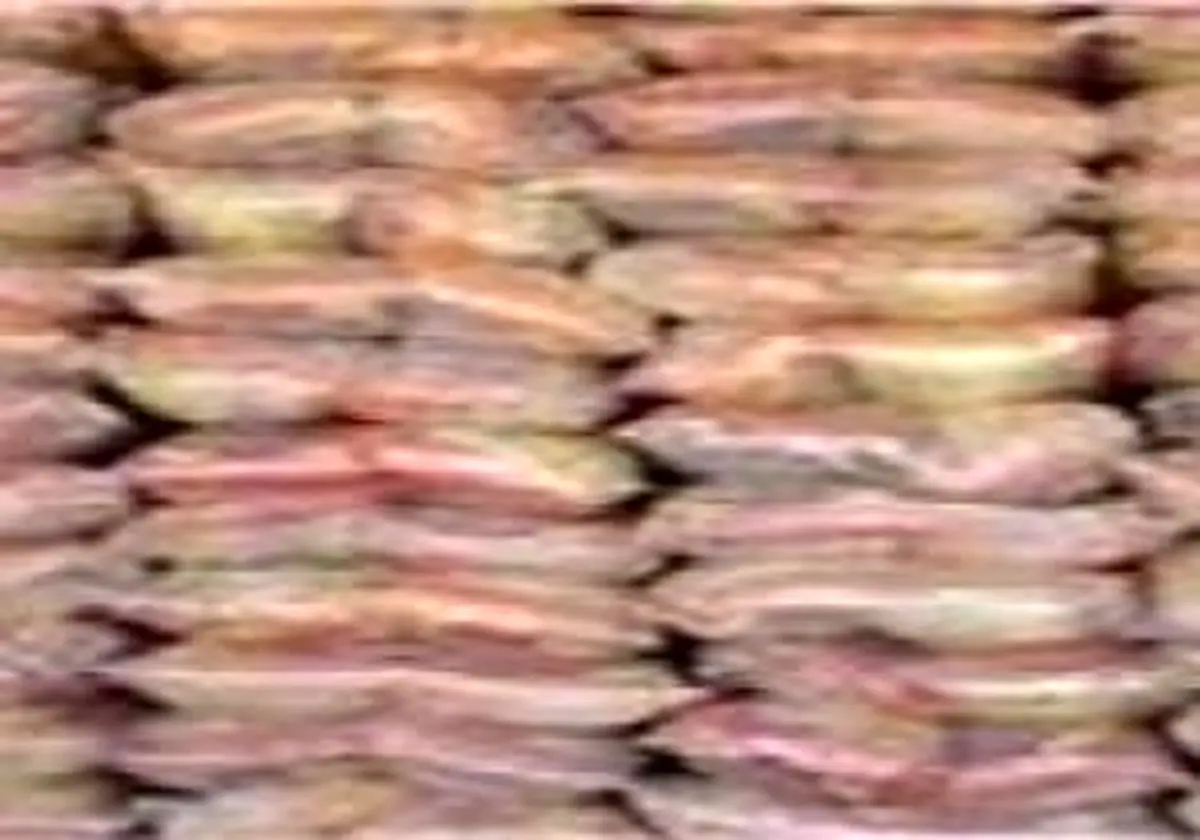 کشف ۱۰۰ تن برنج خارجی احتکار شده در بم