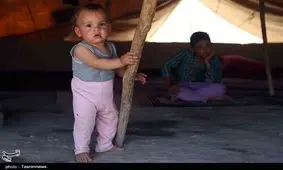 تمامی مناطق ییلاقی استان اردبیل فاقد برق هستند