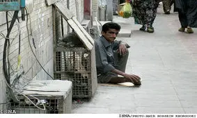 متکدیانی که 20 میلیون تومان در جیب دارند!