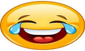 گلچینی از خنده دار ترین عکس ها