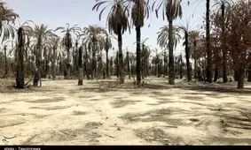 آتش‌سوزی شهر شهداد مهار شد