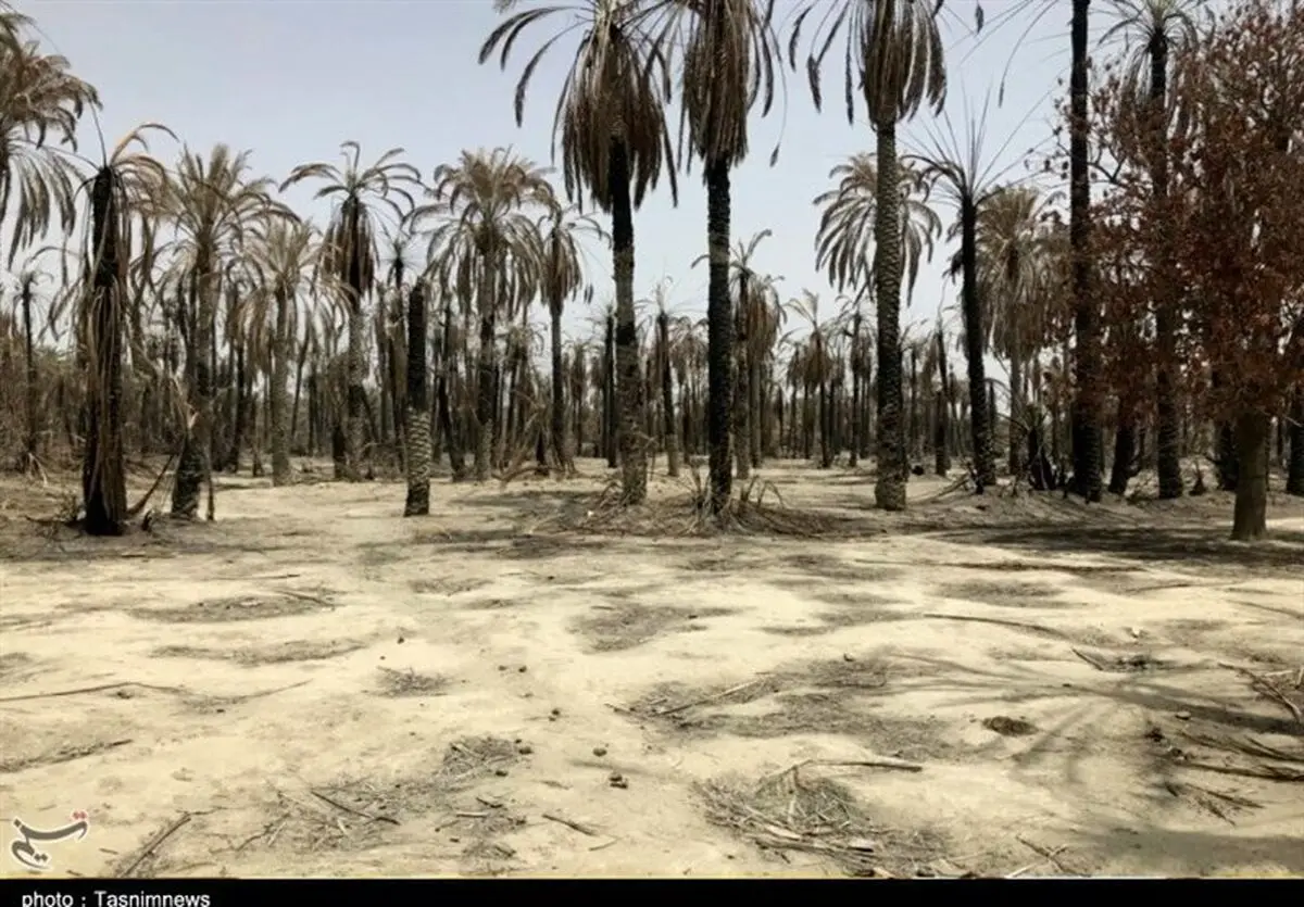 آتش‌سوزی شهر شهداد مهار شد