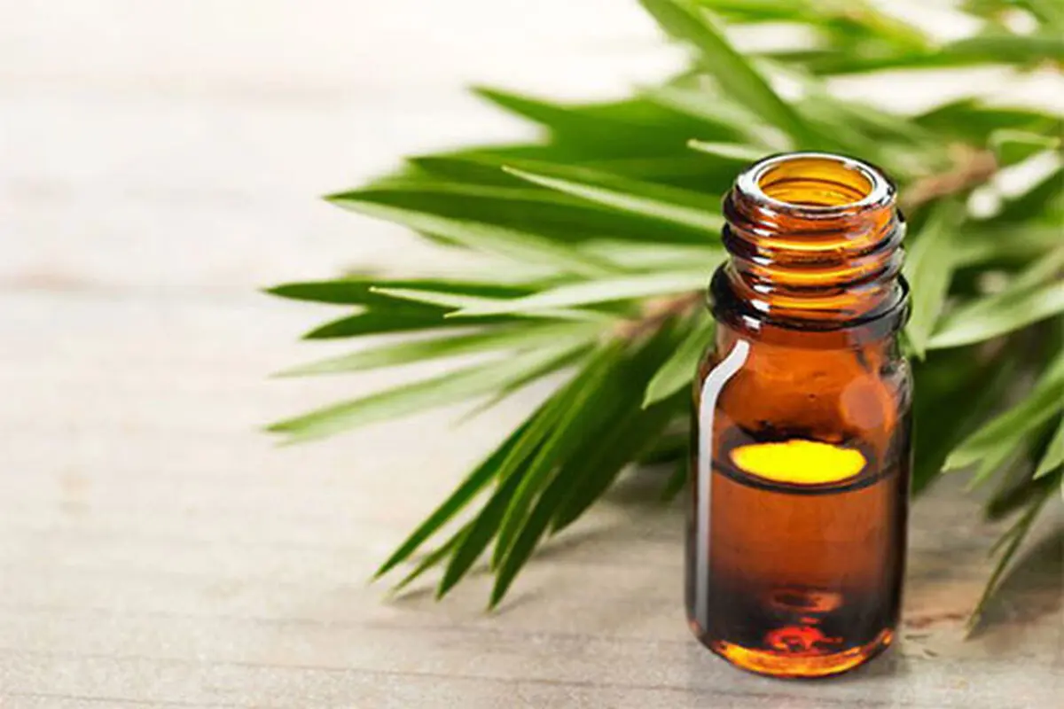 از بین بردن خال گوشتی با روغن درخت چای