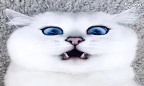 حیواناتی که با طرح و رنگ‌های عجیب به دنیا آمدند