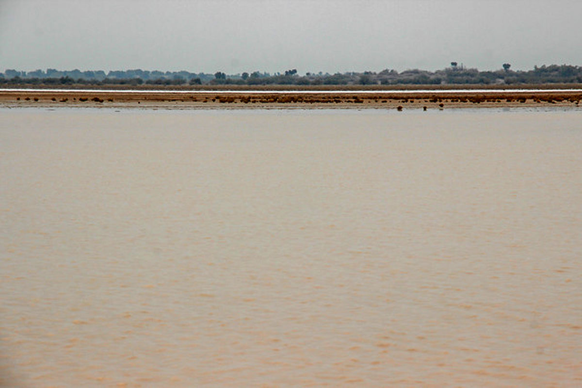 کاهش منابع آب سطحی و زیر زمینی حوضه آبریز هلیل رود وتالاب جازموریان