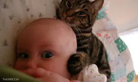 آیا حضور حیوانات خانگی در کنار نوزادان امن است؟