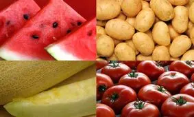 لغو ممنوعیت واردات ۴ محصول به عراق