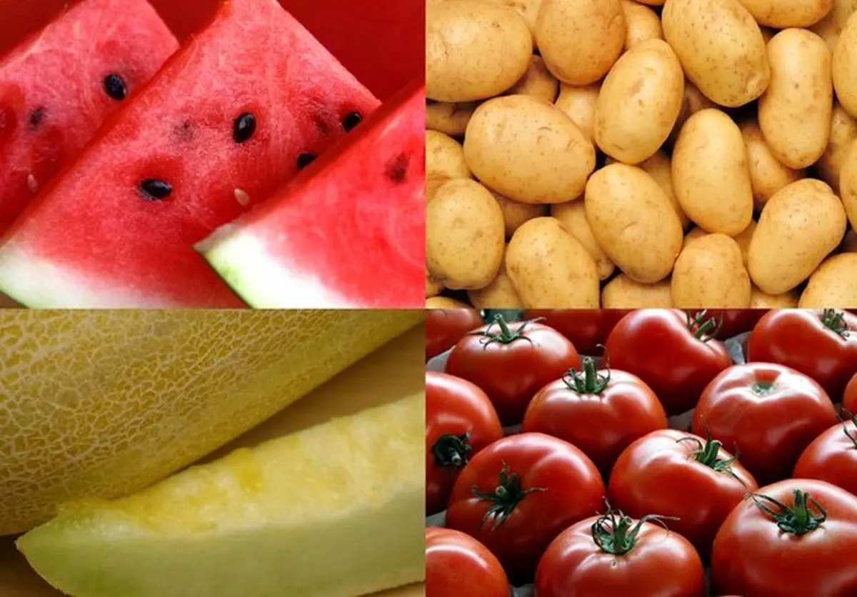 لغو ممنوعیت واردات ۴ محصول به عراق