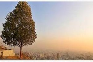 افزایش دما علت اصلی افزایش آلاینده ازن در تهران
