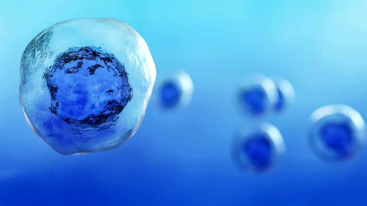 سرعت مرگ قابل اندازه گیره شد