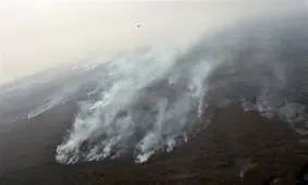 چه کسی نیزارهای هورالعظیم را به آتش می‌کشد؟