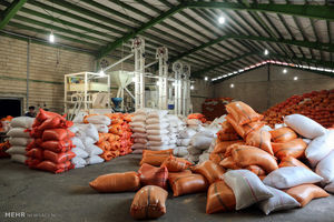 ۷۰ کانتینر برنج احتکاری در بندرعباس کشف شد