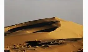 پیرمرد گمشده شتربان در کویر مزینان داورزن پیدا شد