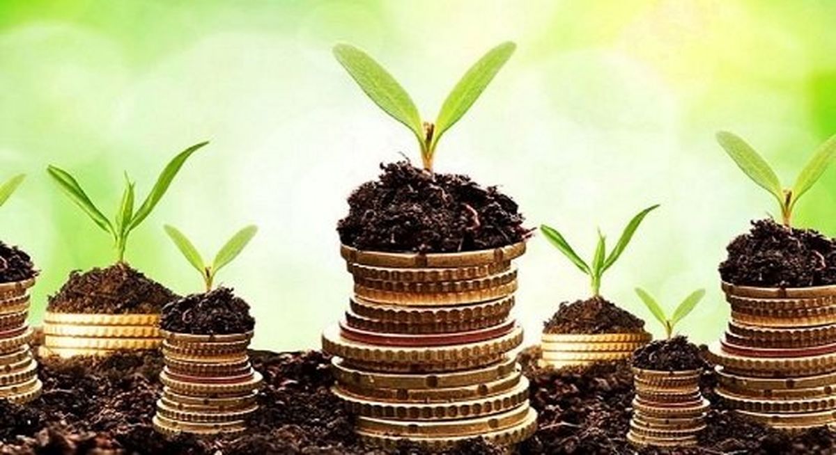 ارائه یک مدل جدید اقتصادی به کمک زیستفناوری امکانپذیر است