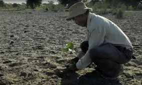 مردی که به تنهایی یک جنگل ساخته است