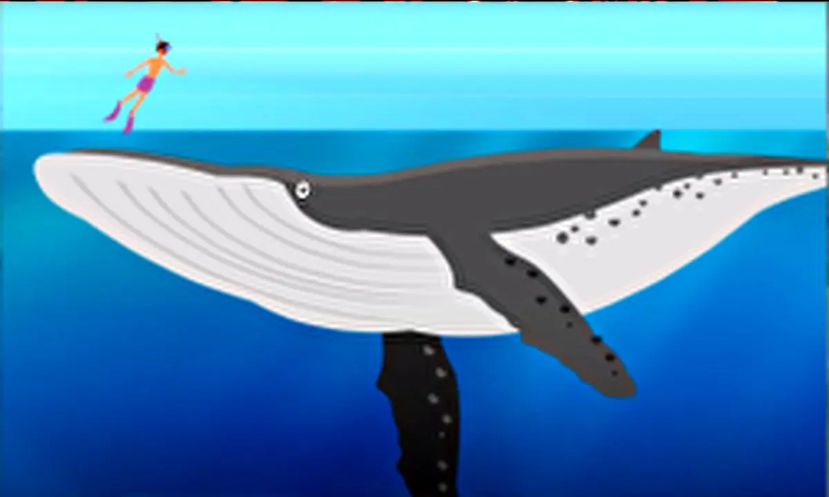 عمق اقیانوس‌های کره زمین چقدر است؟