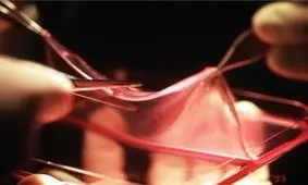 استفاده از سلول‌های بنیادی خون قاعدگی برای درمان آسیب‌دیدگی‌های پوستی