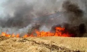 علت آتش‌سوزی ‌چگنی مشخص شد