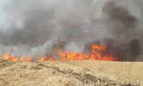 علت آتش‌سوزی ‌چگنی مشخص شد