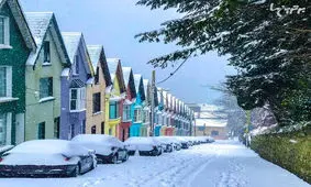 از دیدن این تصاویر فکتان به زمین می‌چسبد