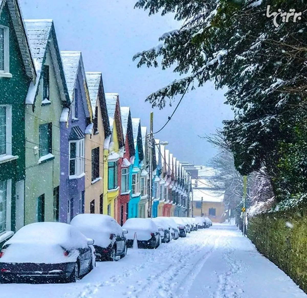 از دیدن این تصاویر فکتان به زمین می‌چسبد