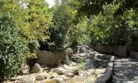 «اخلمد» قربانی سودجویان باغ و املاک