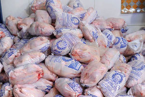 ۱۴ تن مرغ مرغ منجمد طرح تنظیم بازار در مهریز توزیع شد