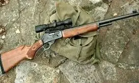 گرازکُشی اتباع خارجی در همدان آغاز شد +عکس