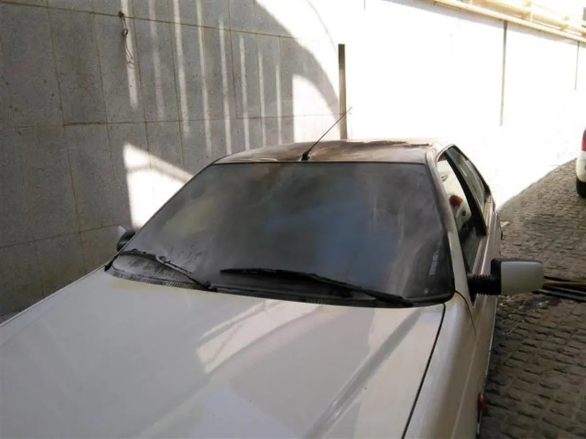 توضیحات رئیس جهاددانشگاهی همدان درباره آتش‌سوزی خودرو