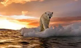 ششمین انقراض دسته جمعی زمین چه زمانی اتفاق می افتد؟