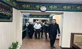 میراسماعیلی رسما به فدراسیون جودو بازگشت

