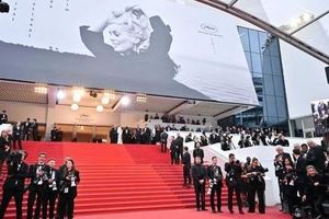 اعلام فیلم‌های حاضر در جشنواره کن ۲۰۲۴ ؛ ایران هیچ نماینده‌ای ندارد